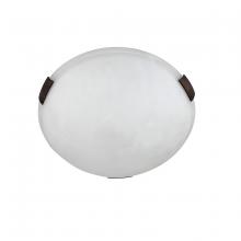 Whitfield ESFM389-12DWORB - LED 2 Light Flush Mount