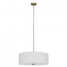 Whitfield SH2207-BCGL - 4 Light Chandelier Drum Shade